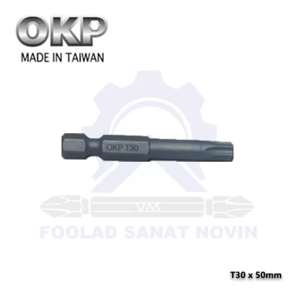 نوک پیچ گوشتی T30-x-50mm