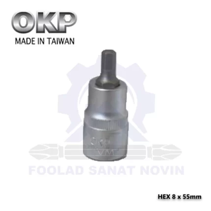 Hex-6-x55-mm-الن-بکس-النی-min