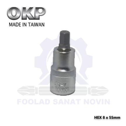 Hex-8-x-55mm-الن-بکس-النی-min