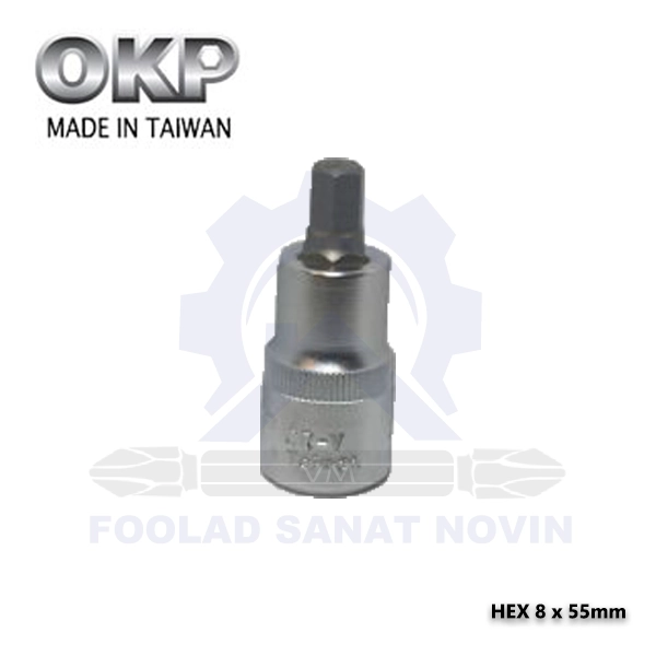 Hex-8-x-55mm-الن-بکس-النی-min